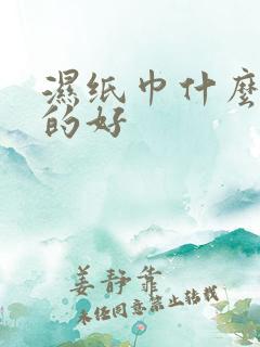 湿纸巾什么牌子的好