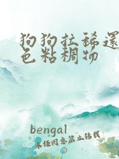 狗狗拉稀还有白色粘稠物