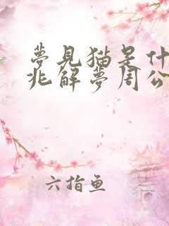 梦见猫是什么预兆解梦周公解梦