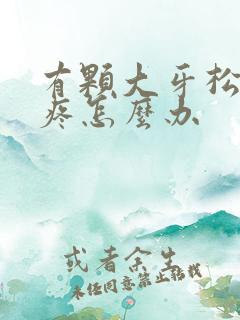 有颗大牙松动了疼怎么办