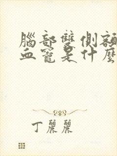 脑部双侧额叶缺血灶是什么意思