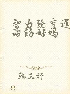 智力发育迟滞能治的好吗