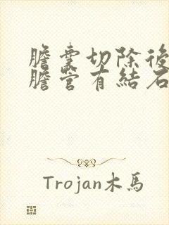 胆囊切除后肝内胆管有结石怎么办