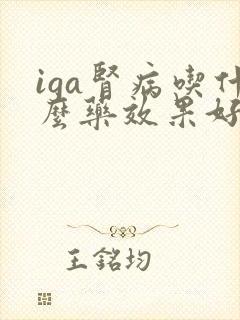 iga肾病吃什么药效果好