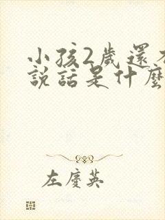 小孩2岁还不会说话是什么原因