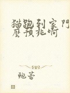 猫跑到家门口什么预兆啊