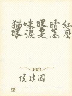 猫咪眼睛红肿流眼泪是怎么回事