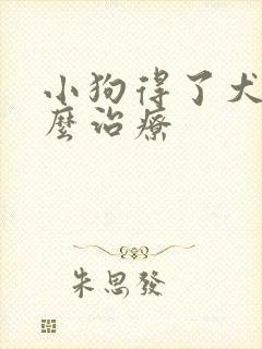 小狗得了犬瘟怎么治疗