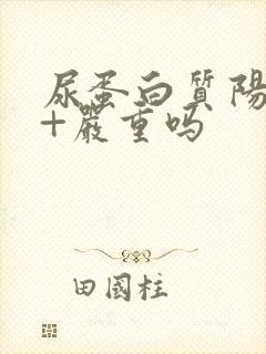 尿蛋白质阳性2+严重吗