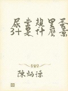 尿常规里蛋白质3+是什么意思