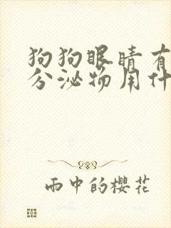 狗狗眼睛有黄色分泌物用什么眼药水