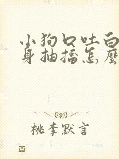 小狗口吐白沫全身抽搐怎么办