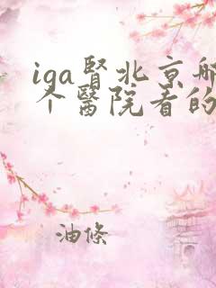 iga肾北京哪个医院看的好