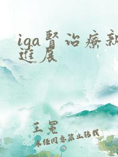 iga肾治疗新进展