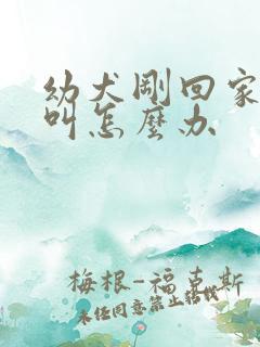 幼犬刚回家总是叫怎么办