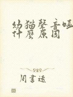 幼猫声音哑了是什么原因