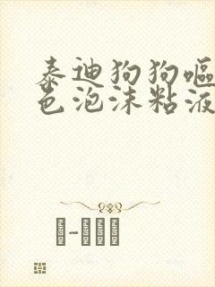 泰迪狗狗呕吐白色泡沫粘液