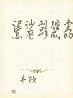 泥沙型胆囊结石怎么形成的