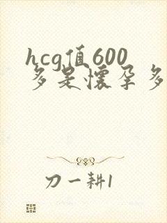 hcg值600多是怀孕多久了