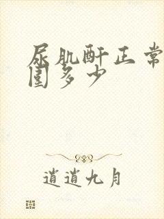 尿肌酐正常值范围多少