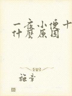 一夜小便十几次什么原因