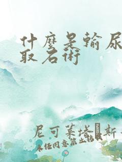 什么是输尿管镜取石术