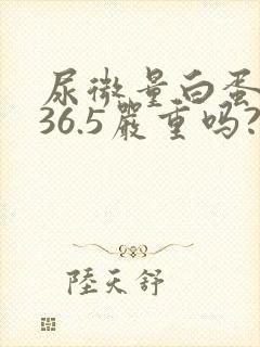 尿微量白蛋白高36.5严重吗?