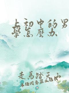 上初中的男孩厌学怎么办