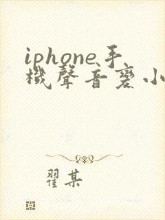 iphone手机声音变小了怎么办