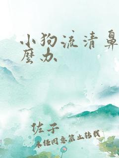 小狗流清鼻涕怎么办