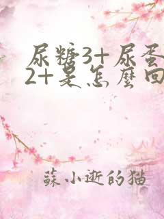 尿糖3+尿蛋白2+是怎么回事