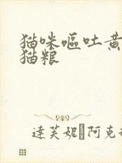 猫咪呕吐黄水和猫粮