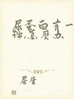 尿蛋白有一个加号,怎么办