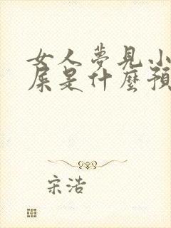 女人梦见小孩拉屎是什么预兆