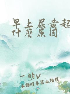 早上尿黄起泡是什么原因