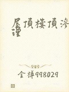 屋顶楼顶渗水处理