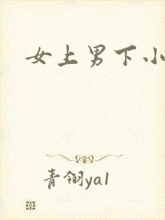 女上男下小说