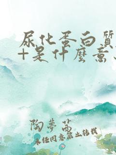 尿化蛋白质阳性+是什么意思