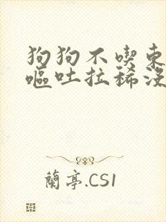 狗狗不吃东西还呕吐拉稀没精神怎么办