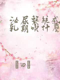 泌尿系统感染哺乳期吃什么药