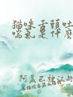 猫咪舌头吐出来喘气是什么原因