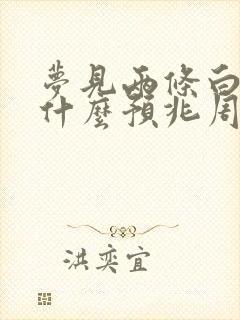 梦见两条白蛇是什么预兆周公解梦