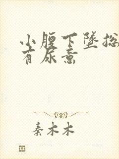 小腹下坠总感觉有尿意