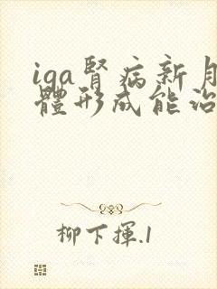 iga肾病新月体形成能治好吗