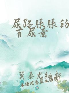 尿路胀胀的感觉 有尿意