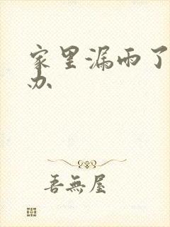 家里漏雨了怎么办