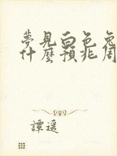 梦见白色兔子是什么预兆周公解梦