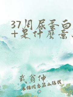 37周尿蛋白2+是什么意思,严重吗