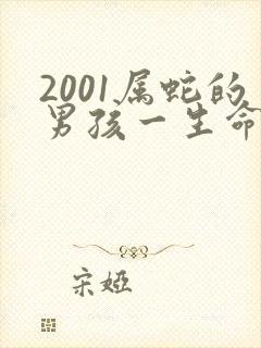 2001属蛇的男孩一生命运如何