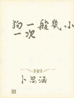 狗一般几小时尿一次